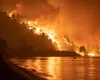 Cod roşu de incendii în Italia. Atenţionare de călătorie transmisă de MAE