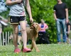 La ce temperaturi nu e bine să scoți câinele din casă. Sfaturi importante pentru stapânii de animale