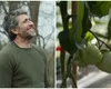 Ce probleme întâmpină Dragoș Bucur cu roșiile plantate în solar: „Trebuie să luăm atitudine. Avem mai multe soiuri”