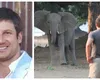 Milionar ucis de un elefant care l-a călcat în picioare! Filmul tragediei