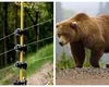 Râşnov – Prima localitate din România care instalează gard electric împotriva urşilor