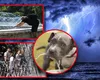 Prognoza meteo 24 iulie. ANM anunță zile cu temperaturi ecuatoriale în România