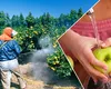 Cea mai simplă și eficientă metodă prin care poți elimina pesticidele de pe fructe și legume. Nu implică nici bicarbonat, nici oțet