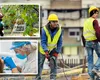 Angajări 2025. Locuri de muncă bănoase pentru români în străinătate. Se caută culegători de pere, dar şi stomatologi sau muncitori în construcţii