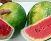 Cum îți dai seama dacă pepenele este copt. Trucul care te va ajuta să-l alegi pe cel mai delicios