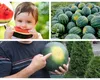 Atenţie la pepenele cu pată albă! Nutriţioniştii te sfătuiesc să alegi cele mai hidratante fructe a FOTO şi VIDEOle verii