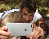 Cum arată „cel mai fericit animal din lume”. Quokka, animăluțul care l-a cucerit până și pe Roger Federer