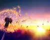 Zodiile care au șanse mari să își schimbe viața până la finalul lunii iulie 2025. Cum le influențează Mercur și Saturn retrograde