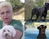 EXCLUSIV Tanti Vasilica, bulversată după întâlnirea de gradul zero cu pantera-câine ce a pus pe jar două țări: „Am crezut că mi s-a arătat Satana în față. O văd, mi-o închipui, privirea ei mi-a rămas mie întipărită în cap”