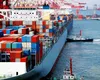 FACIAS: Bonusuri de peste 4 milioane de euro la Compania Națională „Administrația Porturilor Maritime”