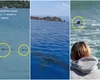 Panică pe litoralul turcesc! Rechini surprinși aproape de mal în stațiunea Bodrum. Turiștii au fost evacuați de pe plajă