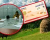Profesorii nu și-au primit nici acum vouchere de vacanță deși suntem în luna august