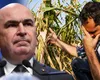 Bolojan dă undă verde adoptării unei legi care-i va afecta pe fermieri. ANAF îi va controla la sânge pe beneficiarii atestatelor de producător