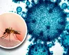 O nouă epidemie lovește China! Aproape 3.000 de persoane au fost infectate de virus într-o singură săptămână