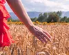 Toamna se pregătește din vară: freze și grape noi pentru teren gata de însămânțare