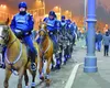 Jandarmii primesc reguli de utilizare a cailor. Când vor putea să fie scoși în stradă caii Jandarmeriei Române și în ce condiții