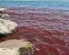 Marea Galileei e roșie ca sângele. Localnicii vorbesc despre semne apocaliptice: „Oamenii ar face bine să se pună bine cu Iisus înainte să se întoarcă”