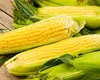 Ce afecțiuni poate trata porumbul fiert. De la bob până la cenușa coceanului, alimentul este un medicament natural pentru organism