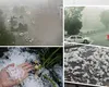 Se întorc ploile puternic după caniculă. Alertă ANM  de averse torențiale, vijelii și grindină. S-a emis COD GALBEN