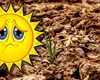 Pământul se schimbă. Oamenii de ştiinţă susţin că au apărut două noi anotimpuri