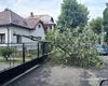 Locuințe inundate și arbori rupți după o furtună extrem de puternică în Sighetul Marmației