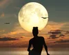 Luna Nouă în Fecioară pe 23 august 2025: Cinci zodii resimt impactul puternic al astrelor