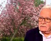 Zodiacul copacilor 2025. Mihai Voropchievici prezintă zodia care are numai ghinion în dragoste. Este lipsită de luciditate, orgolioasă dar și aventuroasă