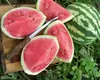 Seminţe de pepene verde, o gustare plină de proteine. Se trag la tigaie şi se servesc în salate sau cu iaurt