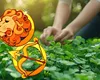 Două zodii cărora norocul le bate la ușă începând cu 19 august, ora 19.00. Timp de câteva săptămâni, vor avea succes după succes, pe plan financiar și sentimental