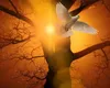 Horoscop 2025. Zodiile care sparg ghinionul și primesc binecuvântarea Cerească. Primesc bani fără număr, avansează în carieră și au noroc în dragoste