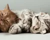 Miracolul naturii: Animalele care au puteri tămăduitoare pentru organismul nostru