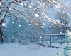 Unde și când lovește ninsoarea în iarna 2025/2026? Vezi prognozele anunțate de meteorologi