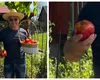 Emil Boc, mândru că i s-au copt roșiile. ”No, bună treabă. Doamne ajută!” VIDEO