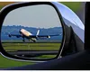 Demisii în bloc de la conducerea Asociaţiei Aeroporturilor din România