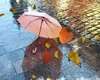 Prognoza ANM pe două săptămâni: Umbrela devine obligatorie! Vremea se răcește, se anunţă ploi