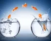 Schimbări pozitive MAJORE pentru 3 zodii în weekend. Cine respiră ușurat după o săptămână intensă