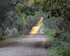 Horoscop 2 octombrie 2025. Perseverența, carisma şi energia pozitivă ajută o zodie să se simtă în al nouălea cer