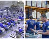 Un mare producător de încălțăminte vine în România. Se creează noi locuri de muncă