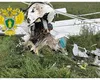 Avion prăbuşit, primele imagini cu epava. Seia în calcul eroarea de pilotaj