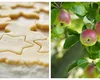 Rețetă simplă de biscuiți cu un singur măr. Este rapidă și foarte sănătoasă pentru cei mici