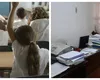 Cine se ocupă, de fapt, de dosarele de burse pentru elevi. Toată munca grea cade pe aceste persoane. Dezvăluirile unui dirctor de școală