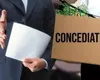 Concedieri 2025. Urgie în mediul privat, peste 1.000 de angajați demiși pe lună. Urmează să fie dați afară și 13.000 de bugetari