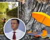Prognoza meteo. Furtuni de vară în septembrie, cu tunete şi fulgere. Meteorologul Silviu Grigore anunţă ploi torenţiale în weekend