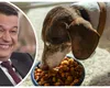 Sorin Grindeanu susține impozitarea progresivă și acuză abuzuri în deducerea TVA: „Se cumpără mâncare de câini pe firmă”
