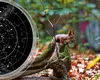 Horoscop 26 septembrie 2025. Balanţele cheltuiesc mai mulţi bani, Scorpionii au parte de gelozii, Leii se uită la birou