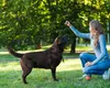 Ministerul Muncii a aprobat o nouă meserie în România. Lucrătorii pot câștiga între 40 și 100 de lei pe zi