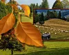 Vremea a bulversat anotimpurile. Fenomenul care schimbă tiparele meteorologice în septembrie. Un TALVEG atmosferic condimentează toamna