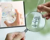 Cantitatea uimitoare de plastic pe care oamenii o respiră în fiecare zi. Datele unui nou studiu