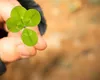 NOROCUL sosește, în sfârșit, pentru 3 ZODII la final de săptămână. Primesc semne cereşti şi protecţie divină