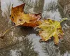 Vremea se răcește în România. Meteorologii Accuweather au actualizat prognoza meteo pentru 12-21 septembrie